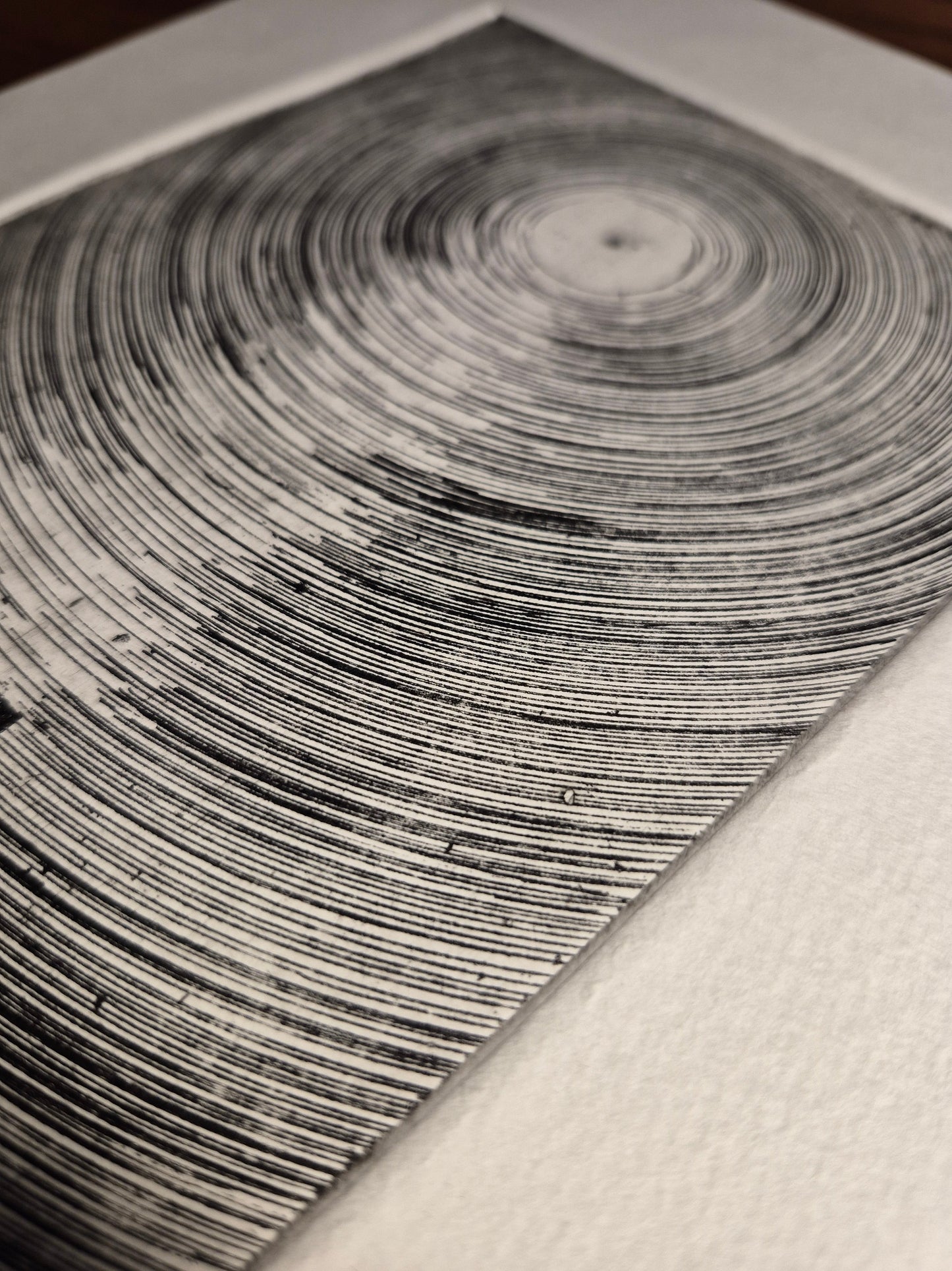 Moonlight - Edition 8