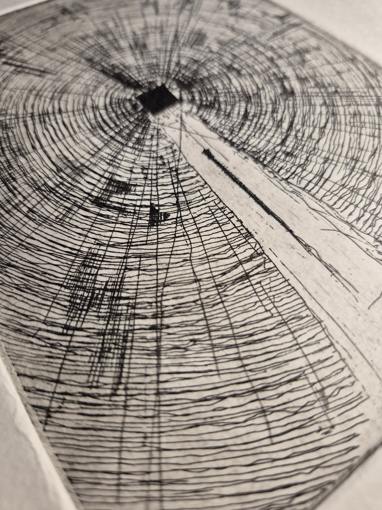 The Red Sea - Edition 5