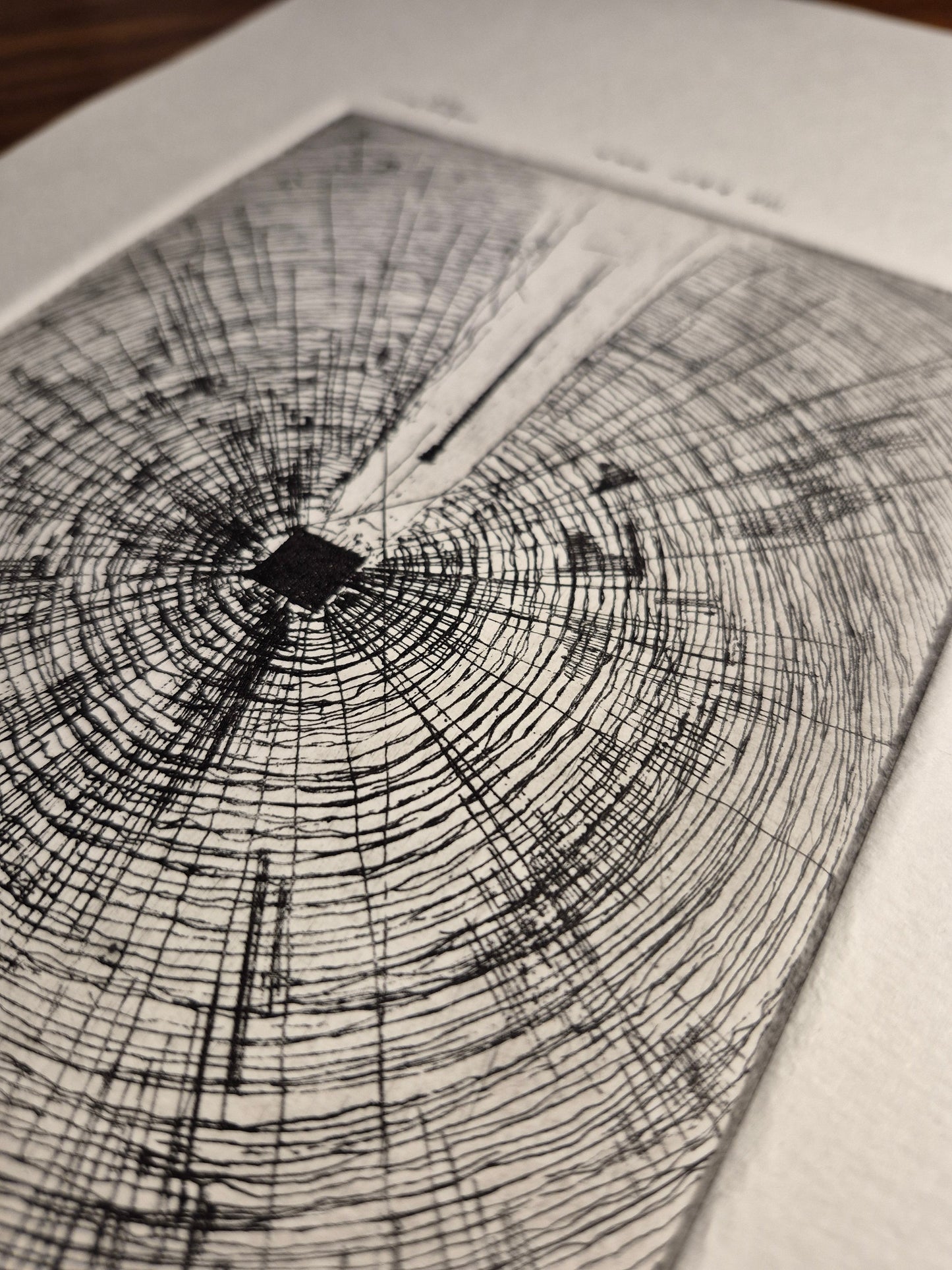 The Red Sea - Edition 6